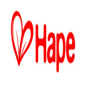 Hape Toys